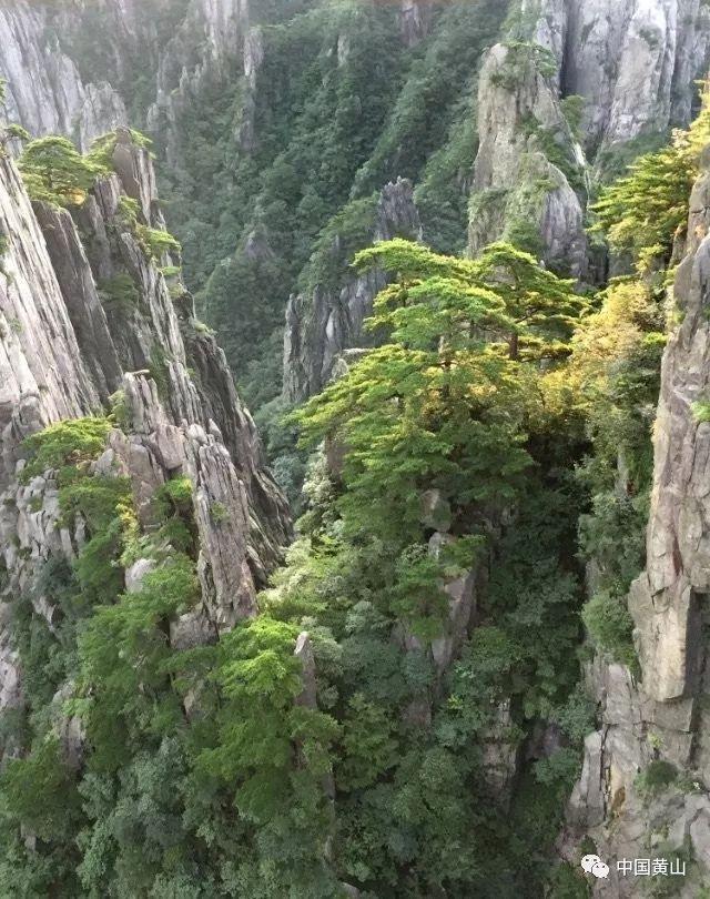 如何没有生育能力？游戏画面